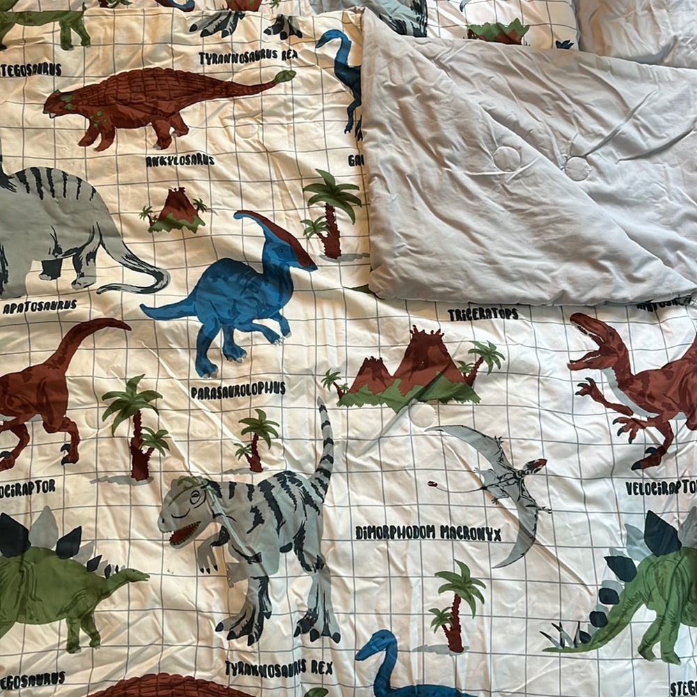Dinosaur full down comforter with grey reversible